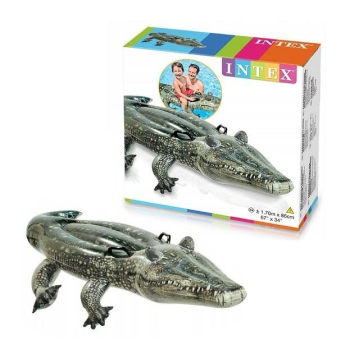 Aligator do pływania